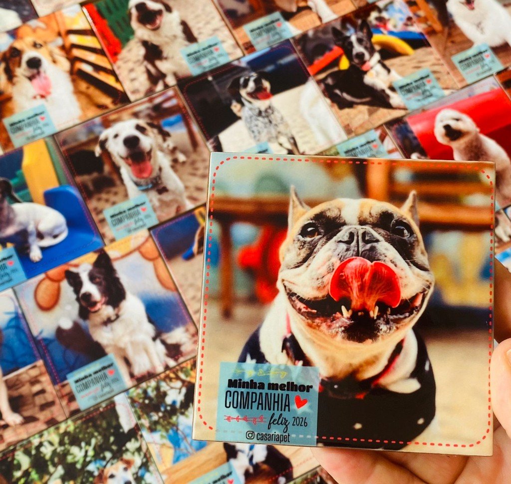 Ímãs personalizados com foto de pets