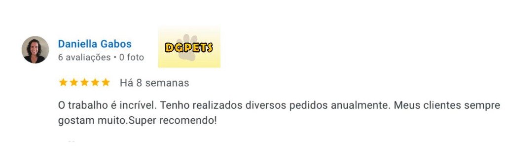 Avaliação Google de Daniella Gabos