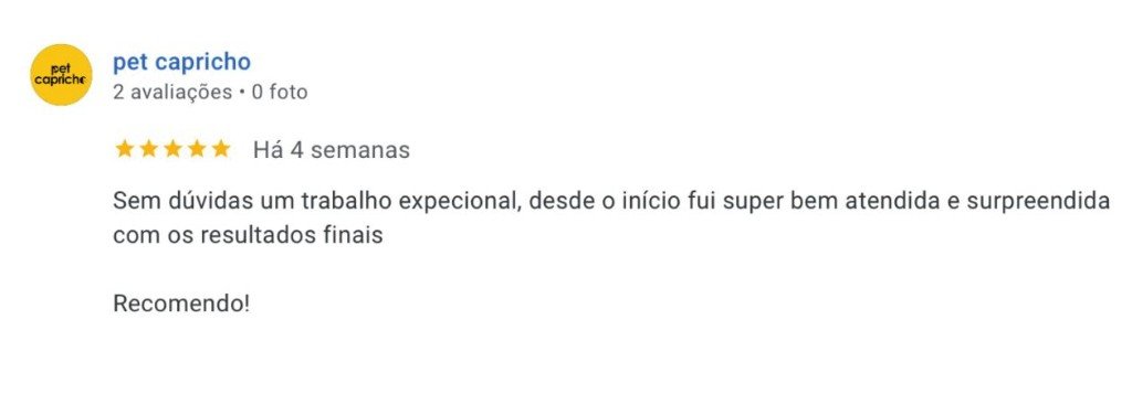 Avaliação Google de pet capricho